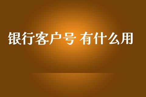 银行客户号 有什么用_https://m.sdyuehang.cn_德指直播室_第1张