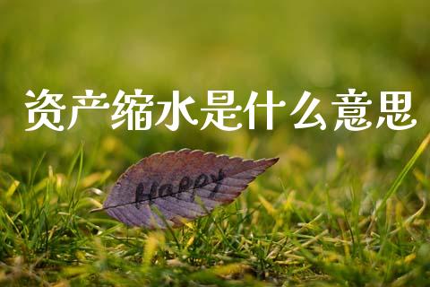 资产缩水是什么意思_https://m.sdyuehang.cn_国际期货恒指直播间_第1张