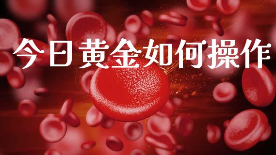今日黄金如何操作_https://m.sdyuehang.cn_国际期货恒指直播间_第1张