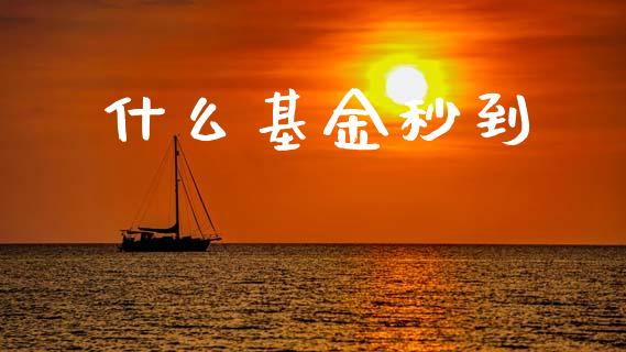 什么基金秒到_https://m.sdyuehang.cn_恒指直播_第1张