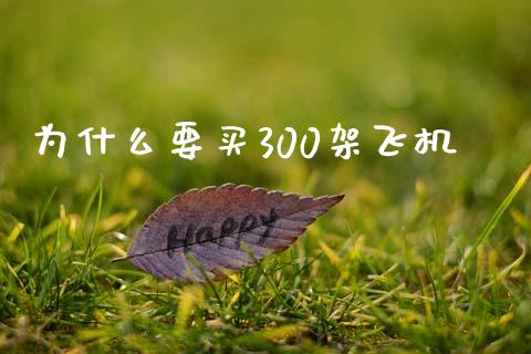 为什么要买300架飞机_https://m.sdyuehang.cn_国际期货恒指直播间_第1张