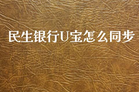 民生银行U宝怎么同步_https://m.sdyuehang.cn_德指直播室_第1张