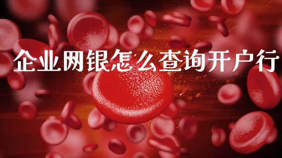 企业网银怎么查询开户行_https://m.sdyuehang.cn_德指直播室_第1张