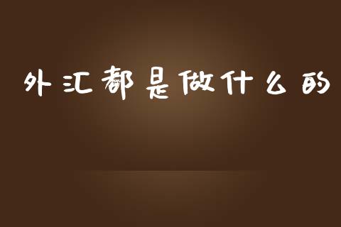 外汇都是做什么的_https://m.sdyuehang.cn_恒指直播_第1张