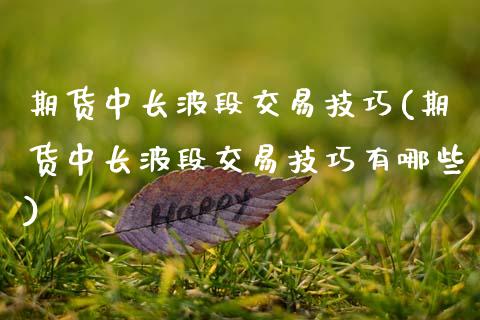 期货中长波段交易技巧(期货中长波段交易技巧有哪些)_https://m.sdyuehang.cn_恒指直播_第1张