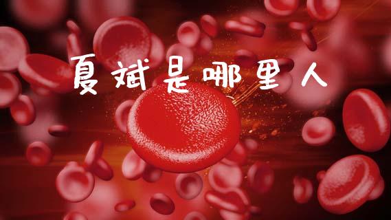 夏斌是哪里人_https://m.sdyuehang.cn_国际期货恒指直播间_第1张