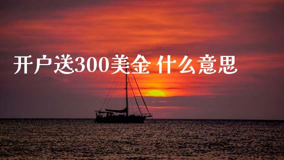 开户送300美金 什么意思_https://m.sdyuehang.cn_纳指直播喊单_第1张