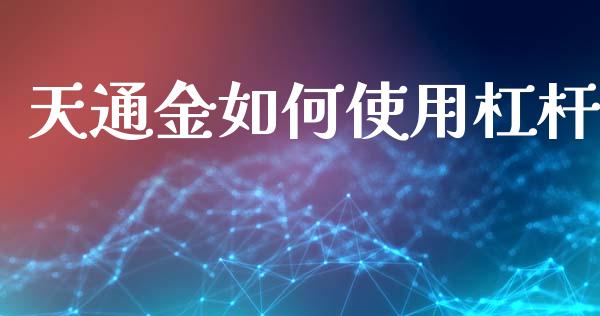 天通金如何使用杠杆_https://m.sdyuehang.cn_国际期货恒指直播间_第1张