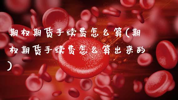 期权期货手续费怎么算(期权期货手续费怎么算出来的)_https://m.sdyuehang.cn_德指直播室_第1张