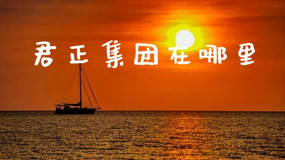 君正集团在哪里_https://m.sdyuehang.cn_纳指直播喊单_第1张