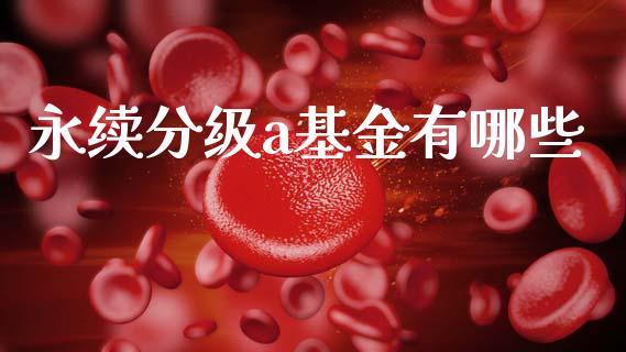 永续分级a基金有哪些_https://m.sdyuehang.cn_恒指直播_第1张