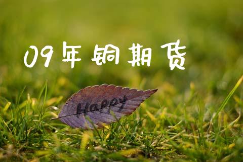 09年铜期货_https://m.sdyuehang.cn_德指直播室_第1张