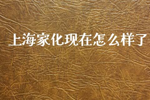 上海家化现在怎么样了_https://m.sdyuehang.cn_国际期货恒指直播间_第1张