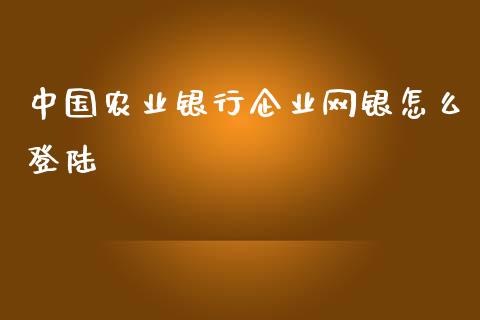 中国农业银行企业网银怎么登陆_https://m.sdyuehang.cn_国际期货恒指直播间_第1张