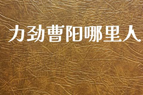 力劲曹阳哪里人_https://m.sdyuehang.cn_恒指直播_第1张