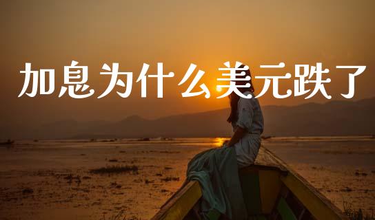 加息为什么美元跌了_https://m.sdyuehang.cn_恒指直播_第1张